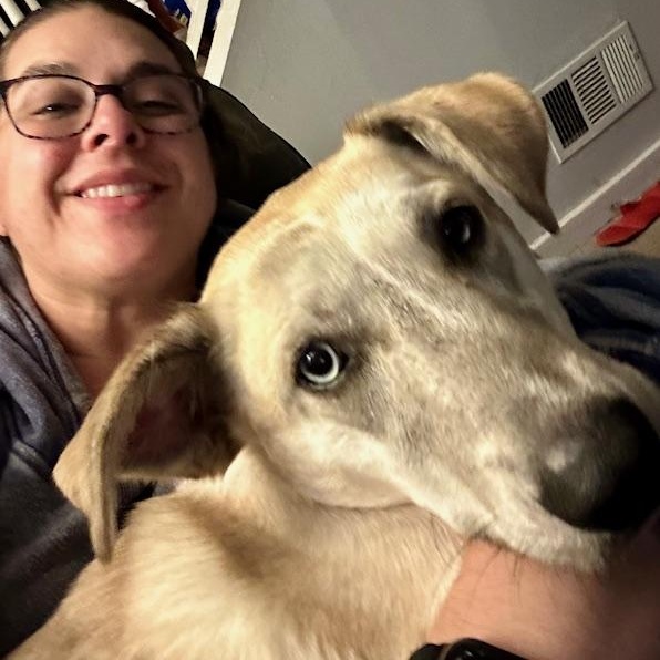 Enlarge Jovee , a Adoptable mixed breed in Watertown, CT image 3/6