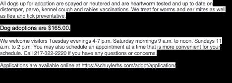 Judie — thumbnail 3