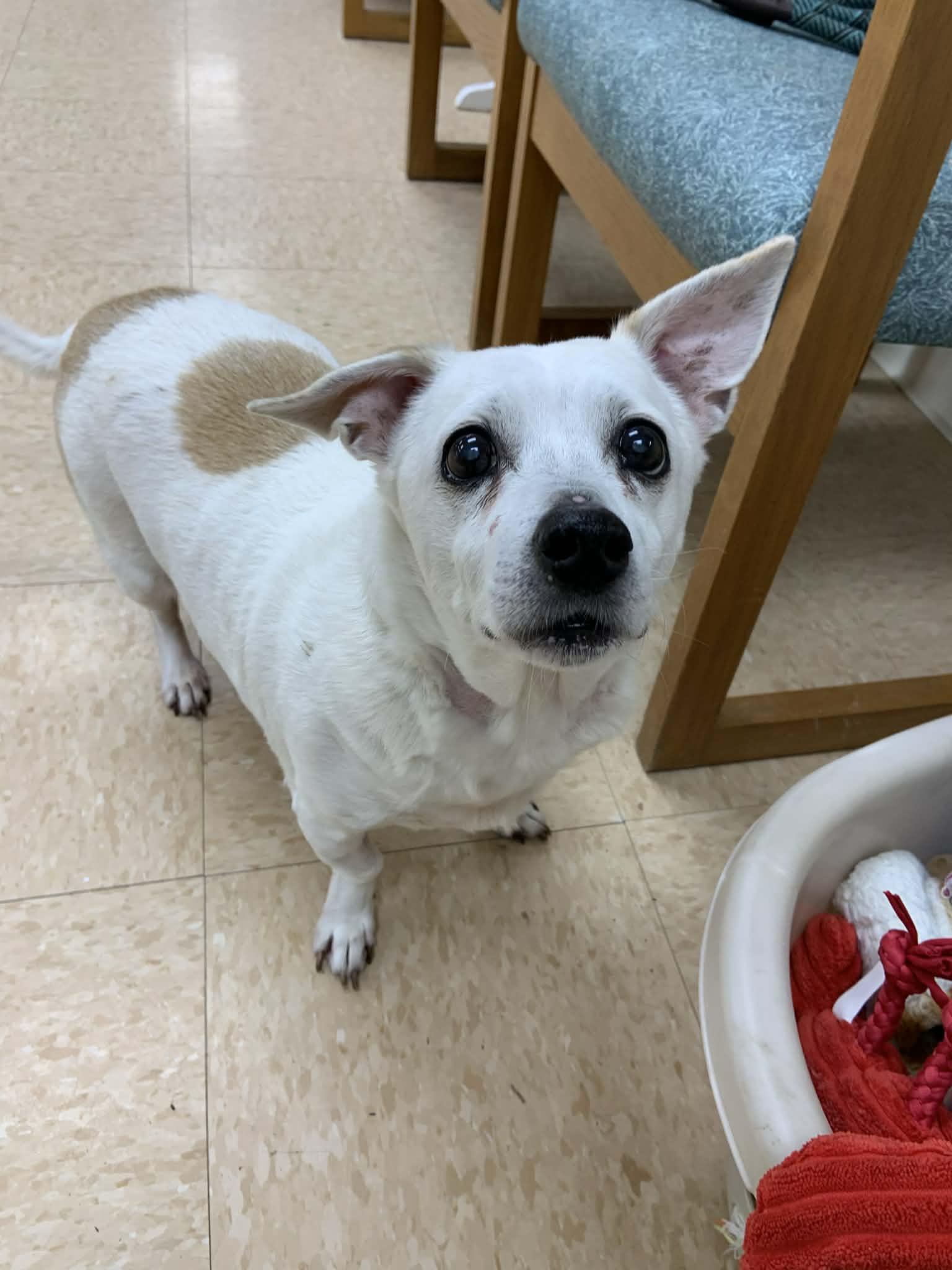 Judie — thumbnail 5