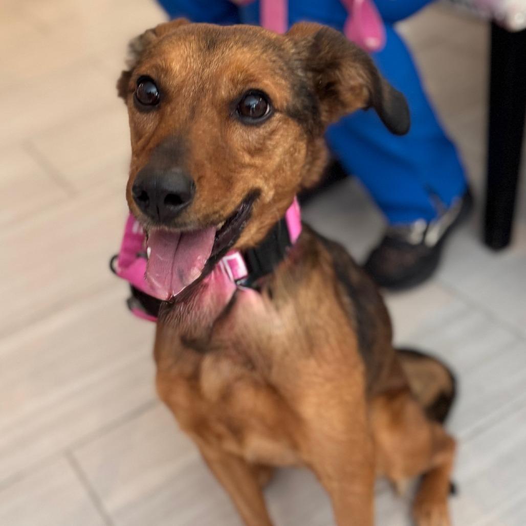 Marceline thumbnail 3