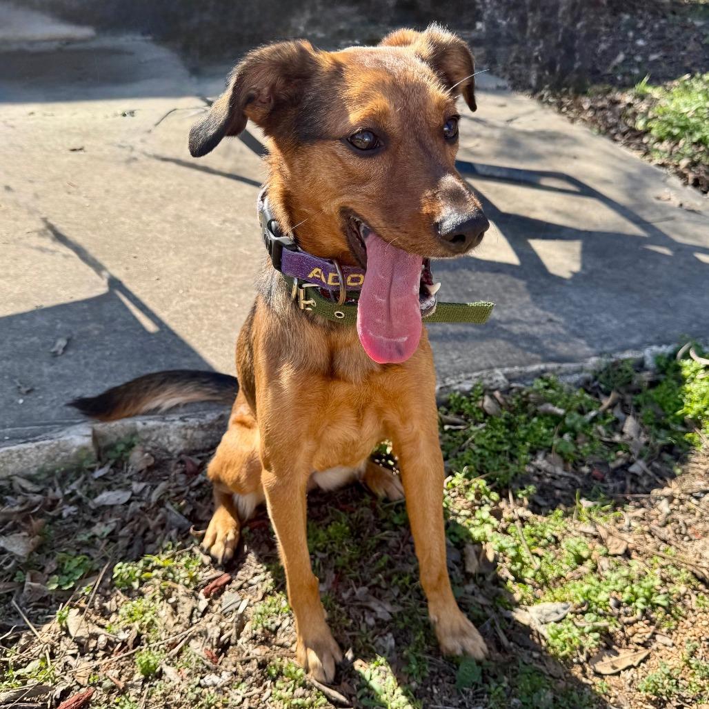 Marceline thumbnail 4