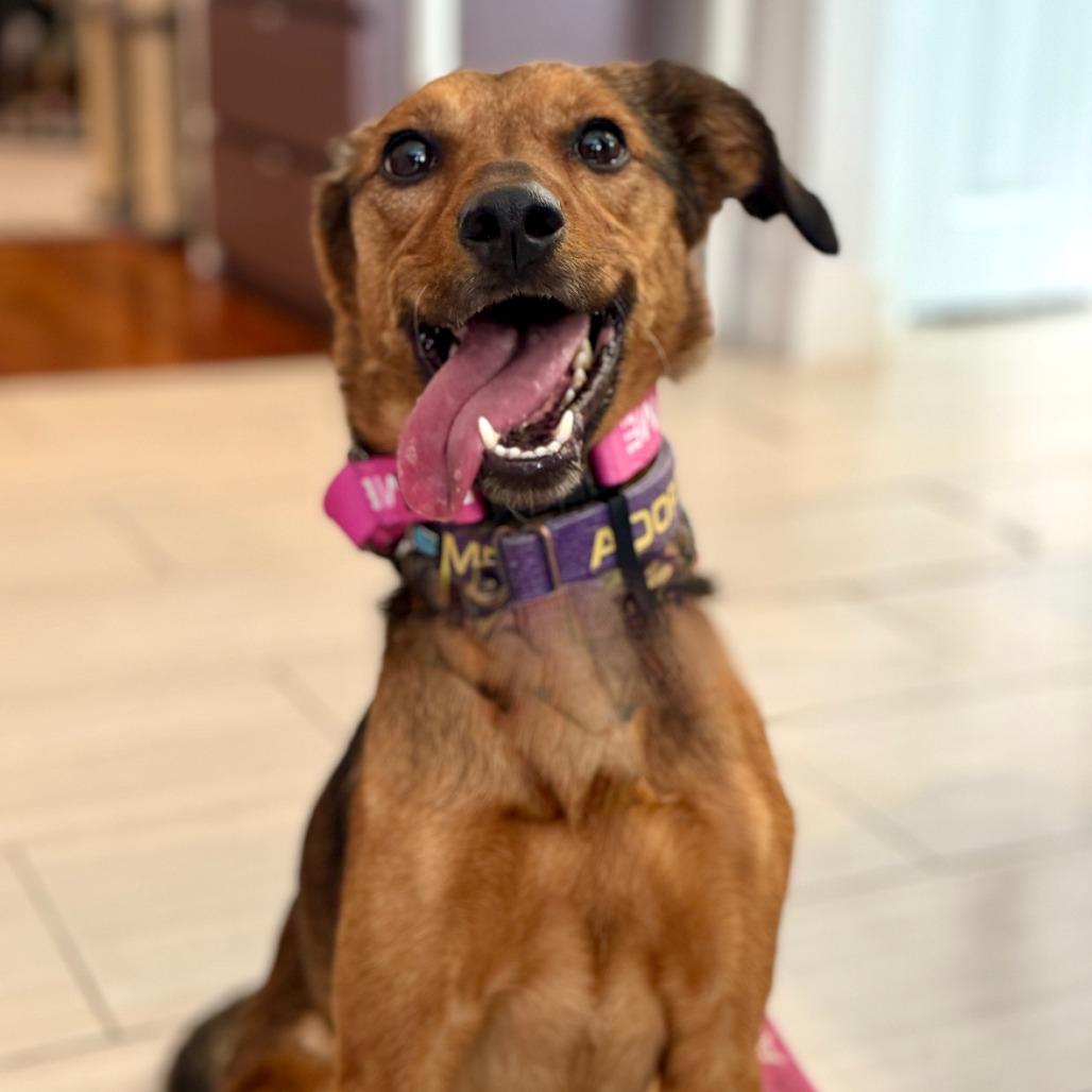 Marceline thumbnail 6