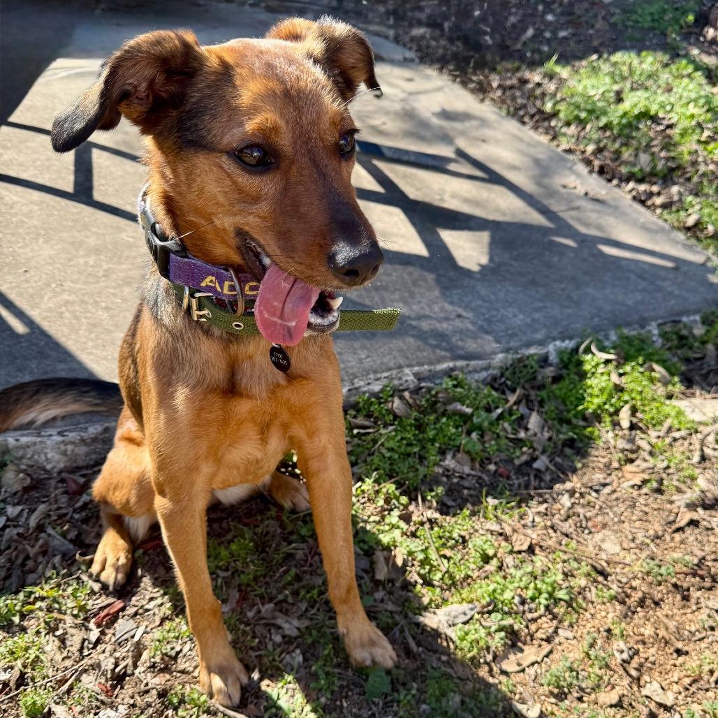 Marceline thumbnail 7