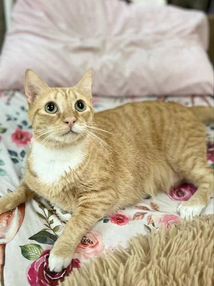 Becca — thumbnail 2