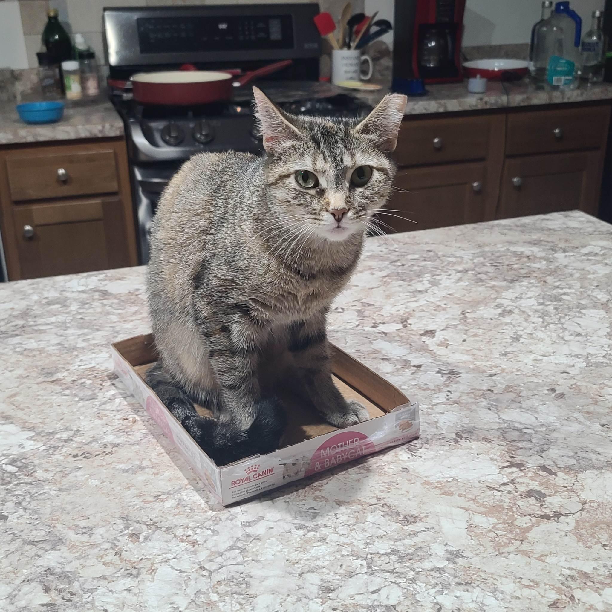 Bonnie