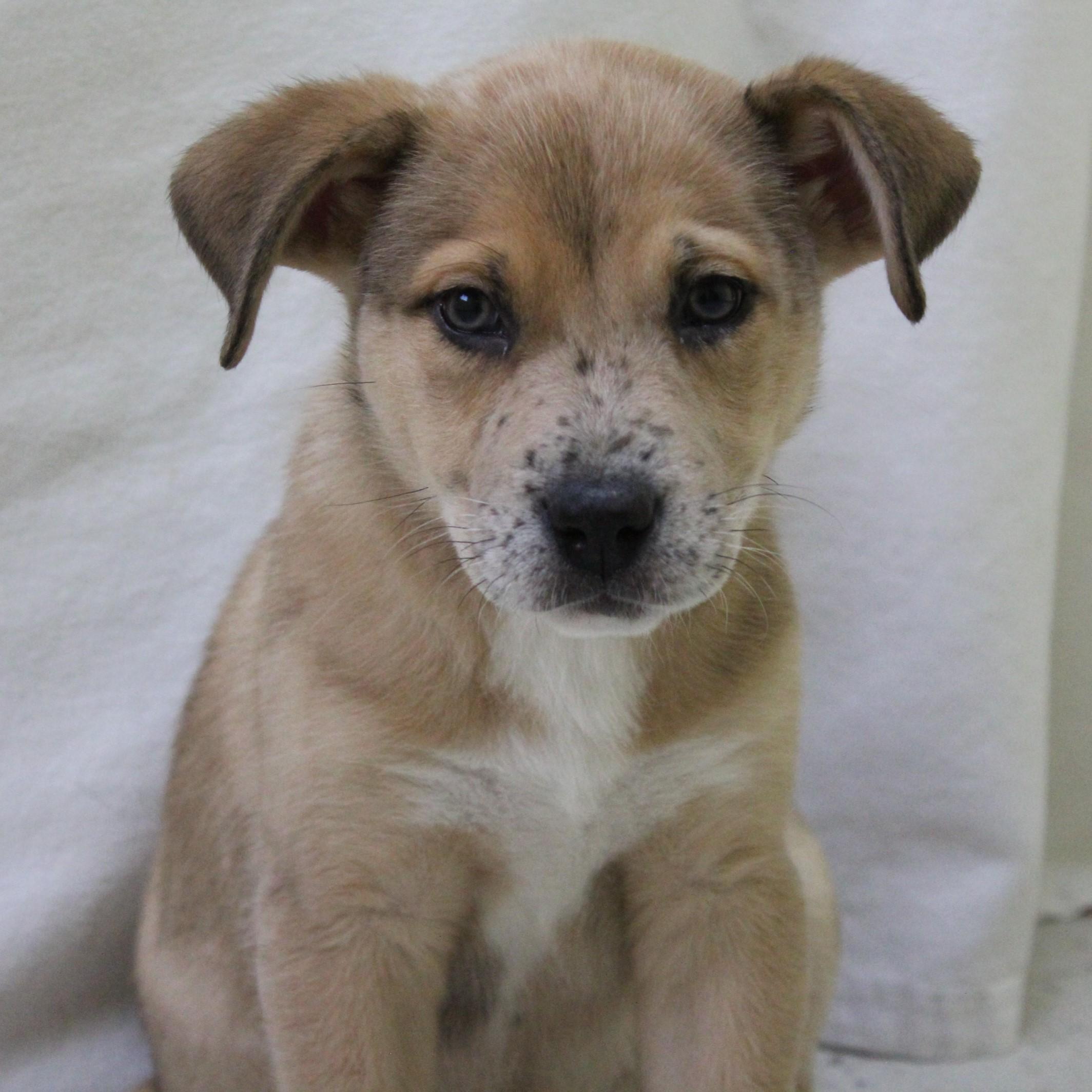 Tic Tac Toast thumbnail 3