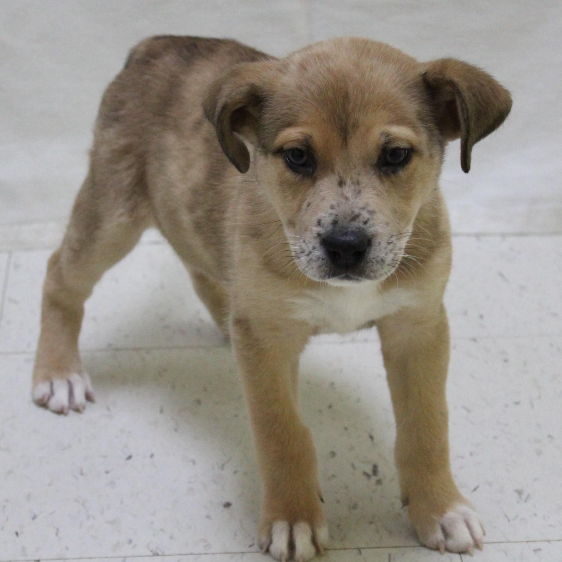 Tic Tac Toast thumbnail 5