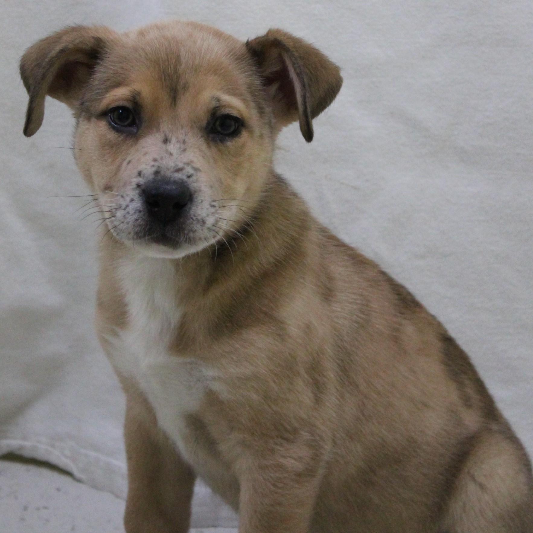 Tic Tac Toast thumbnail 2