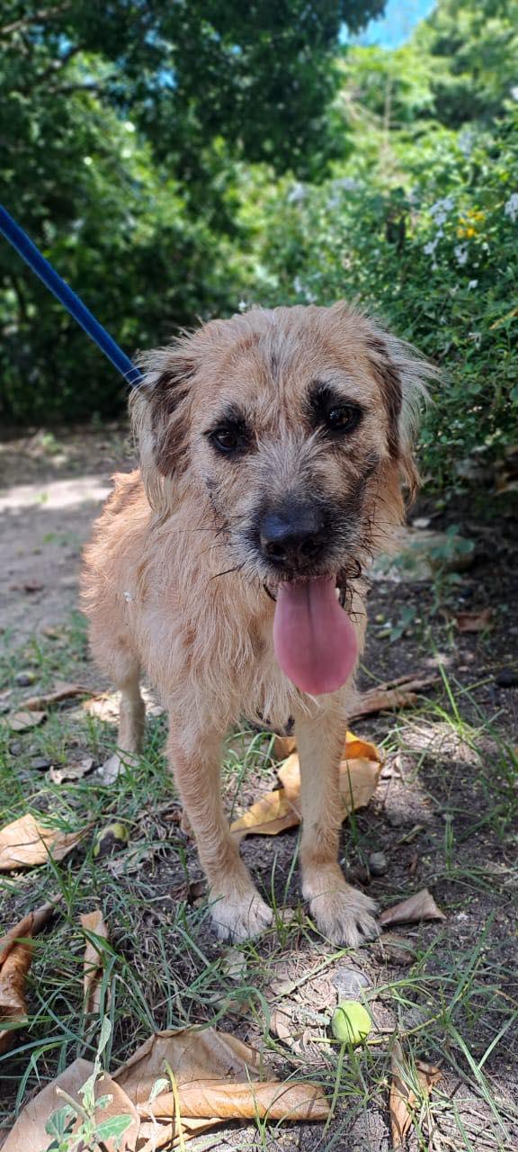 Mohawk (20260107-02)