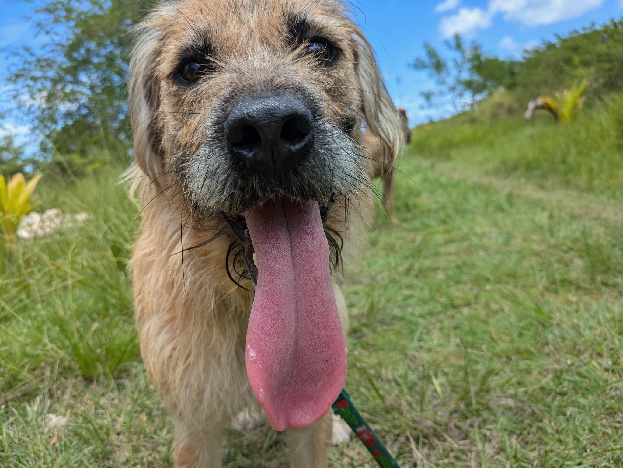 Mohawk (20260107-02) — thumbnail 2