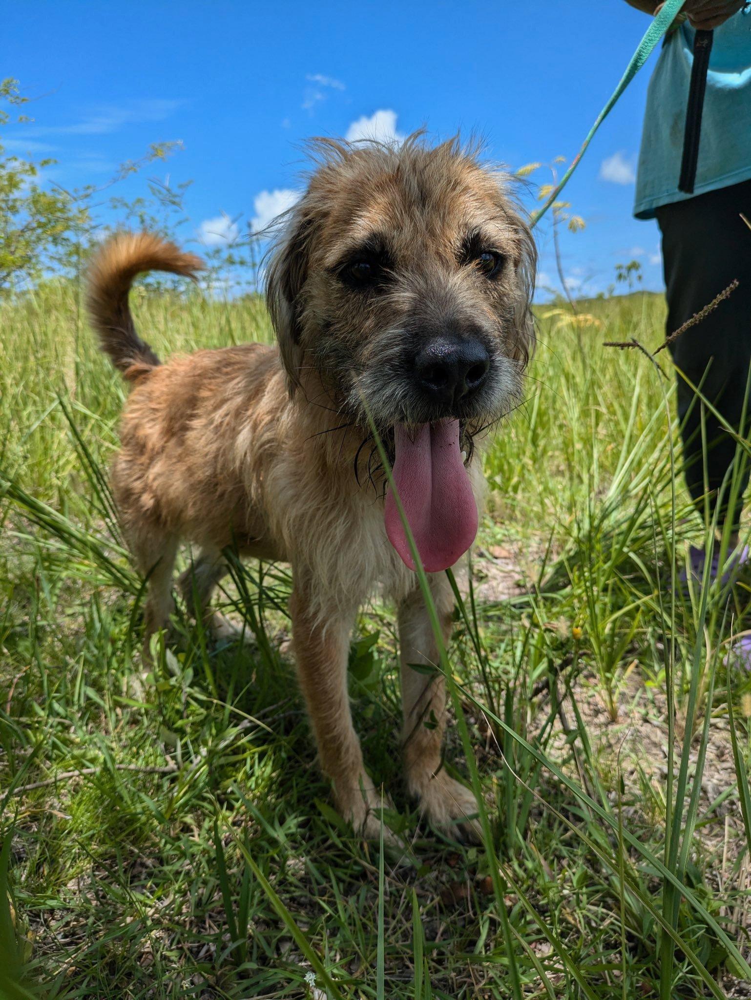 Mohawk (20260107-02) — thumbnail 3