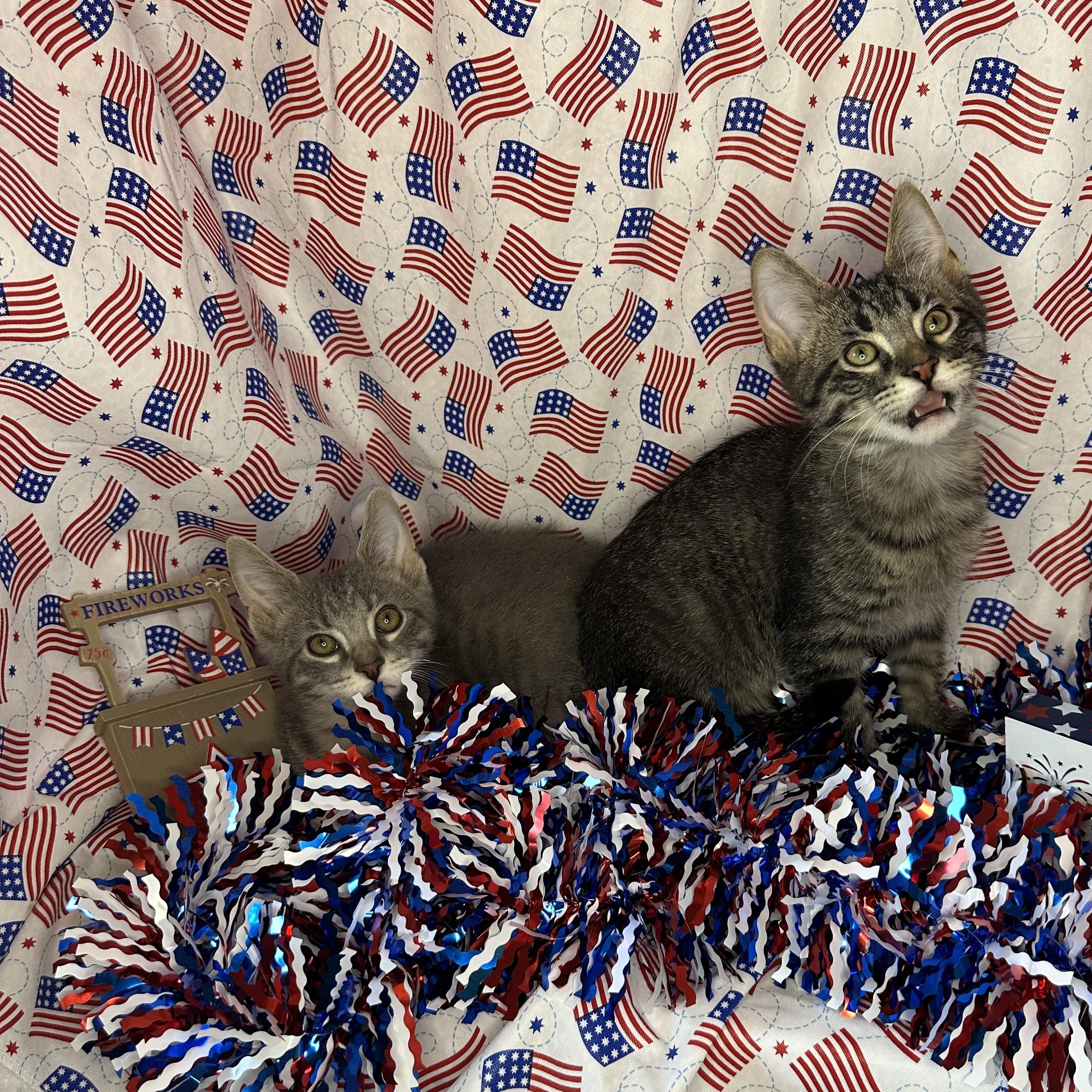 Roley & Poley (Bonded Brothers)