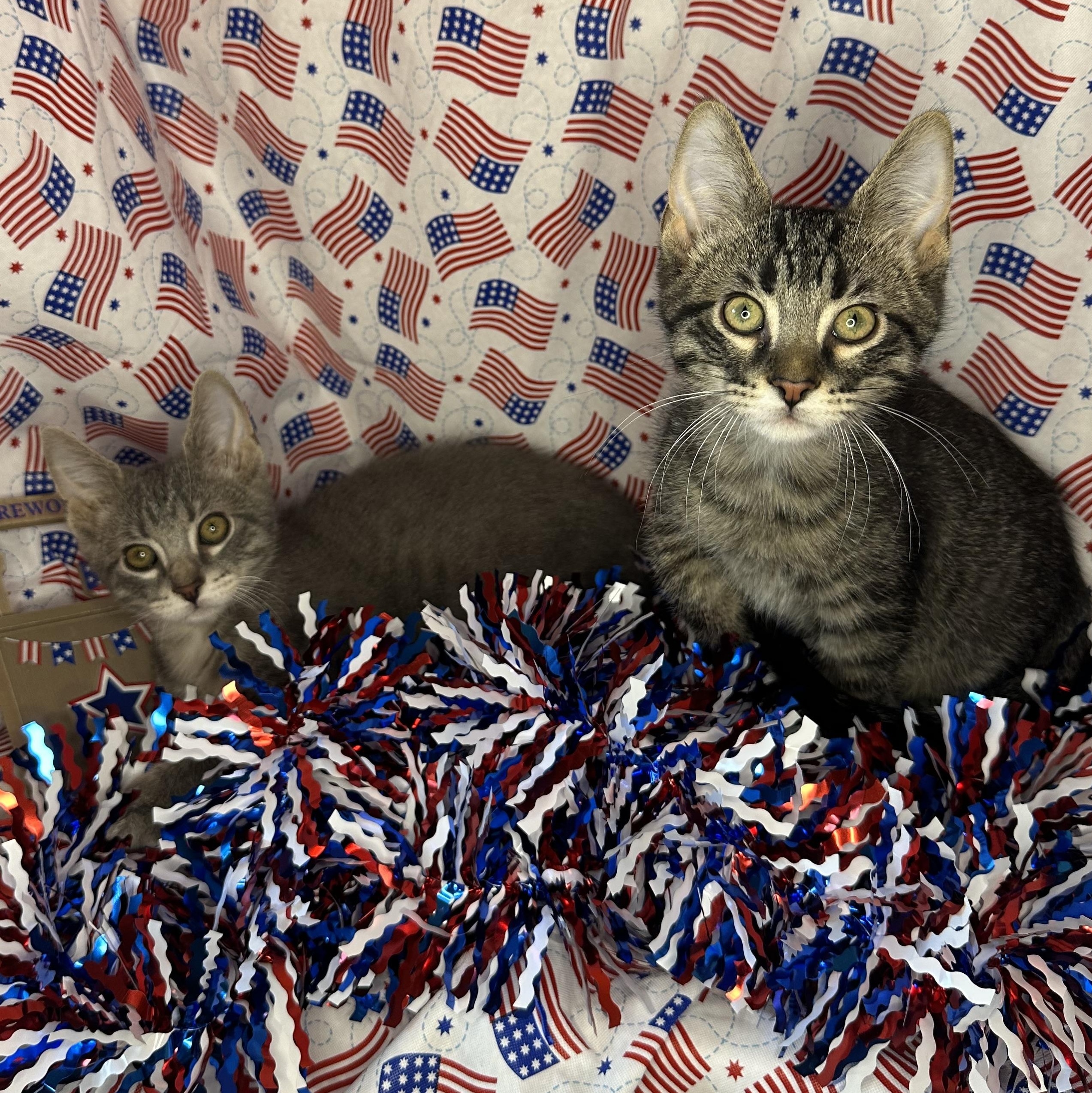 Roley & Poley (Bonded Brothers)