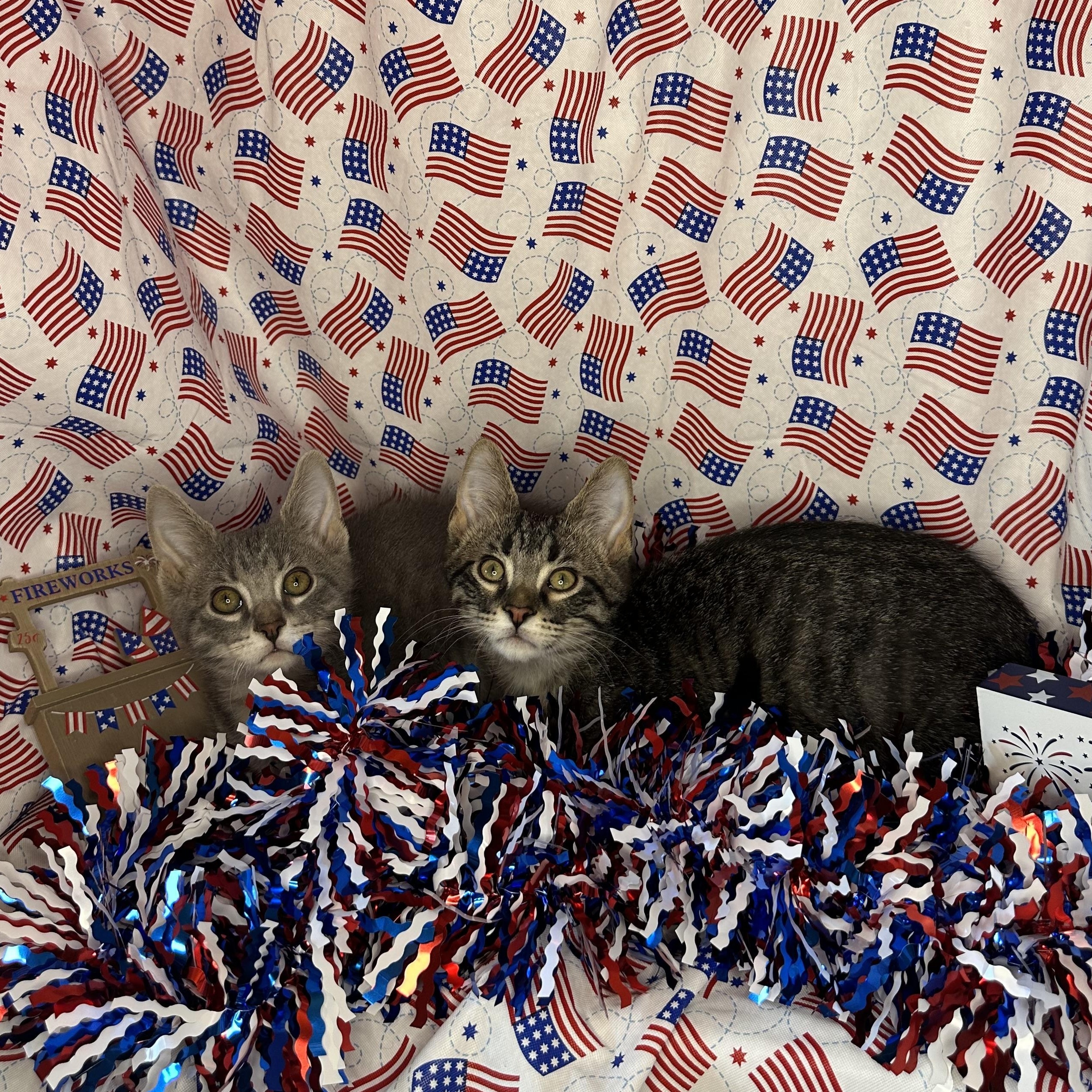 Roley & Poley (Bonded Brothers)