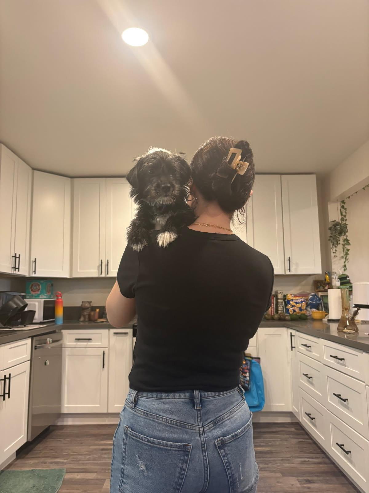 Enlarge Stevie Nicks , an adopted mixed breed in Murrieta, CA image 6/6