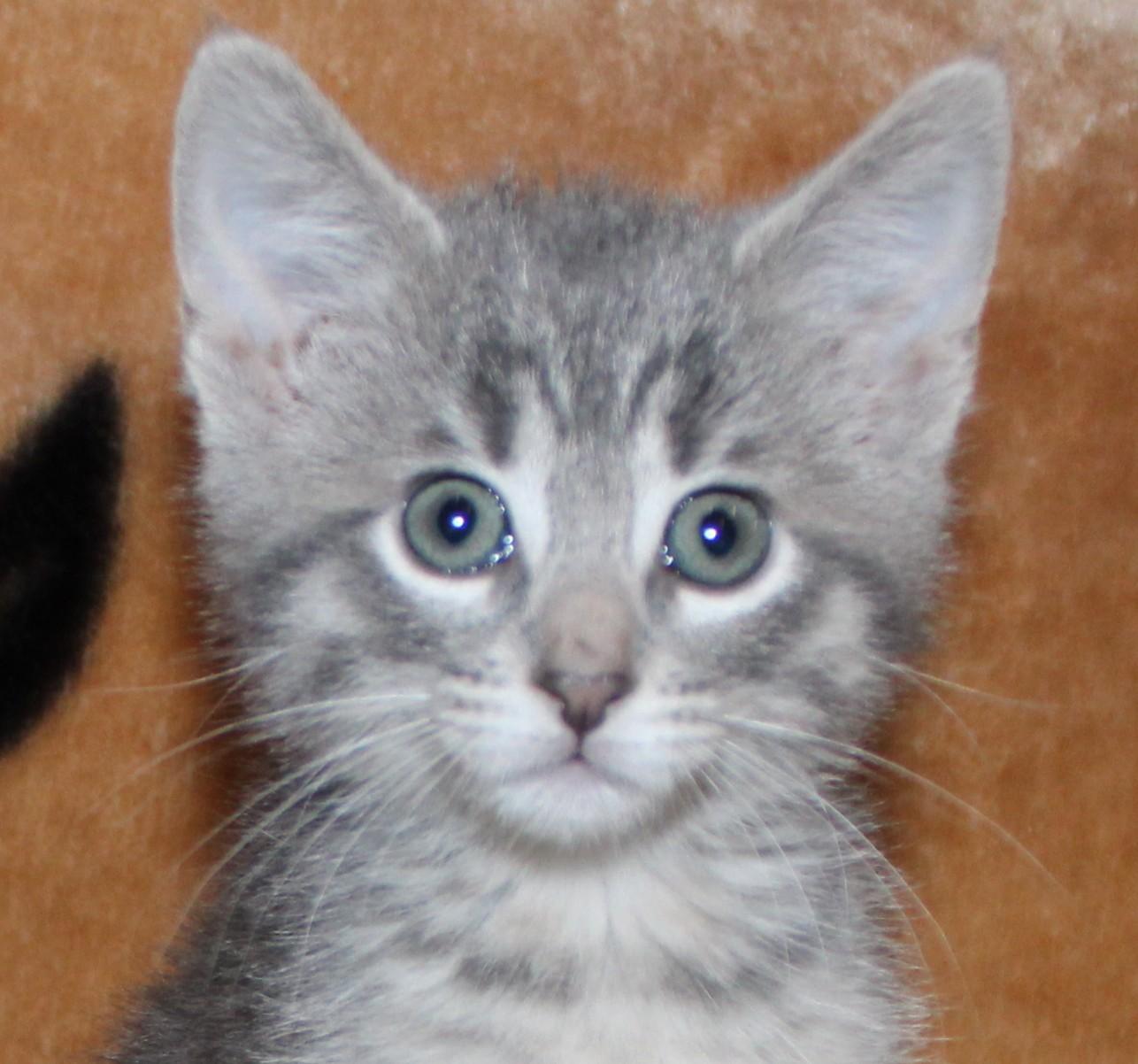 Dora photo 3