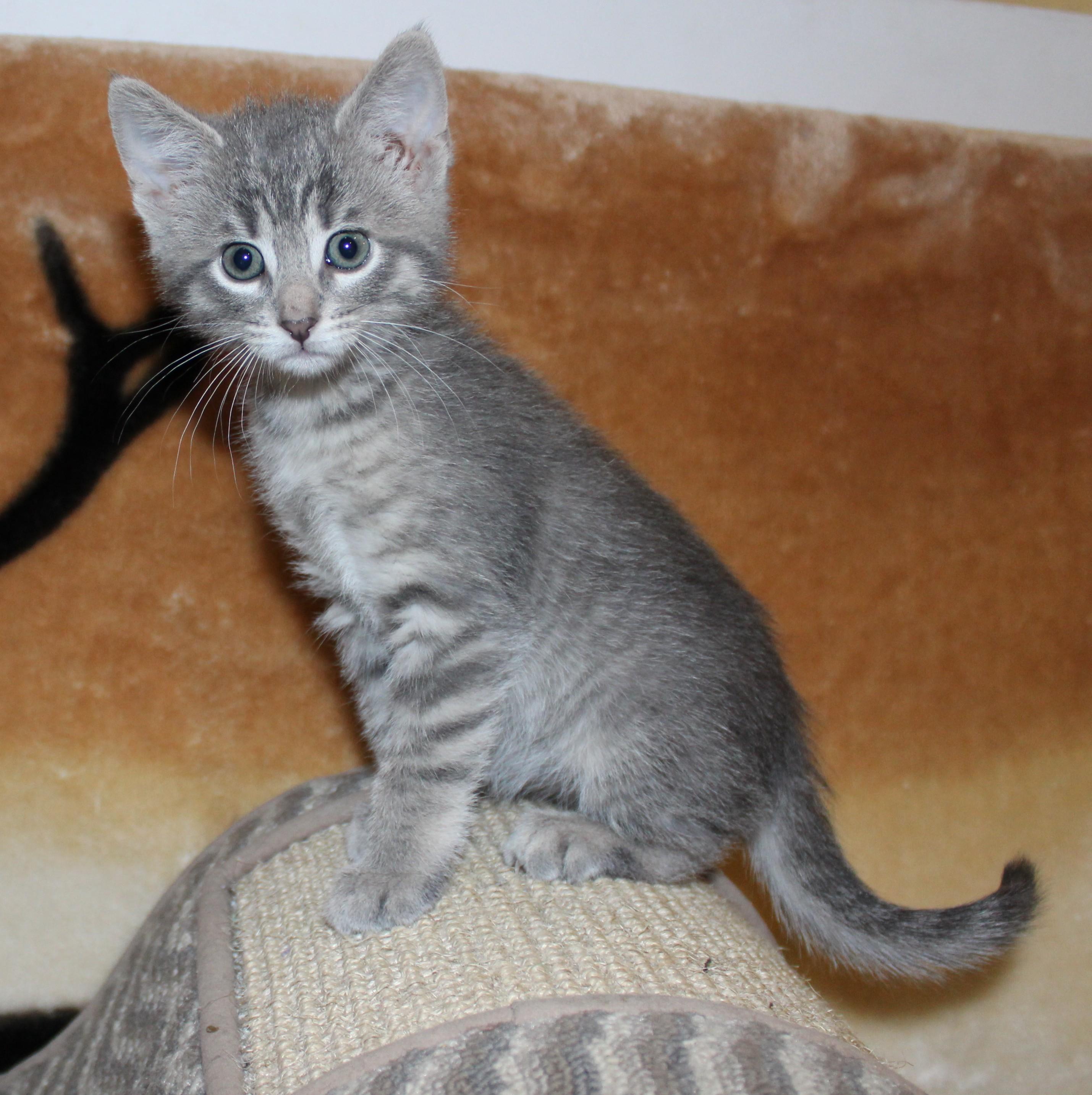 Dora photo 2