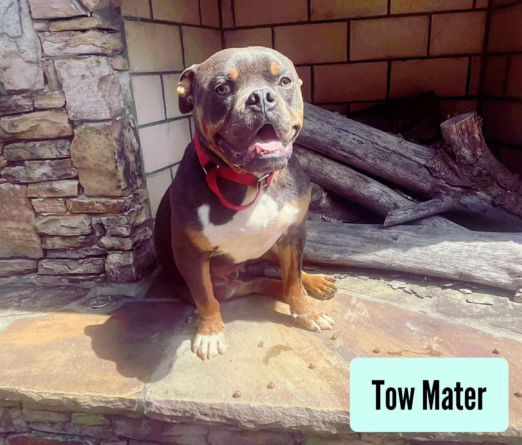 Tow Mater