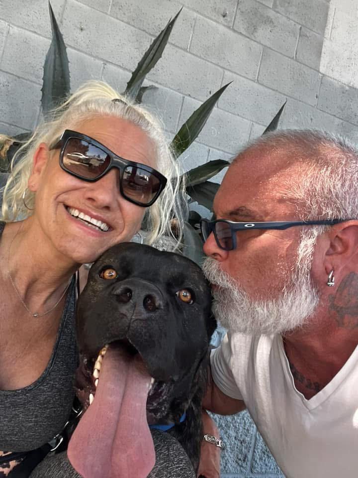 Rufus, a Adoptable Cane Corso in Studio City, CA image 3/5