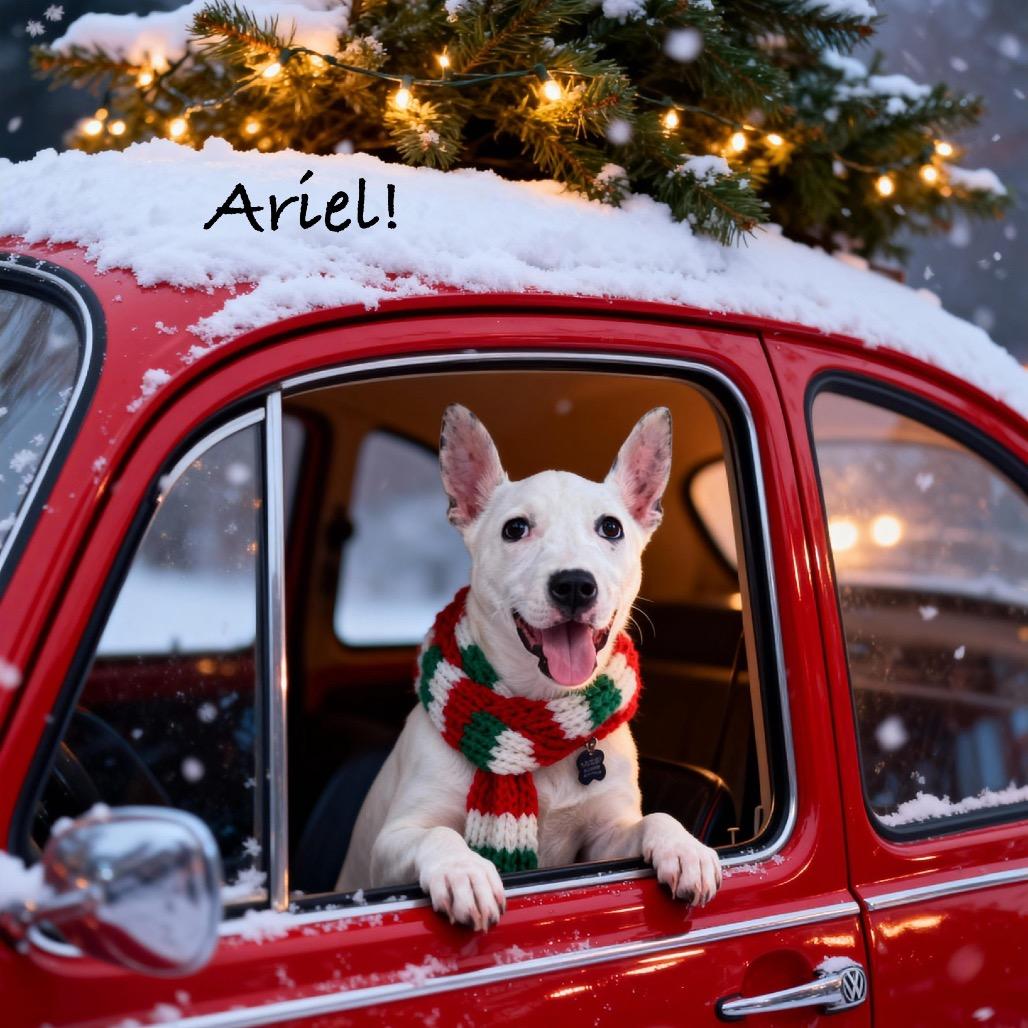 Princess Ariel thumbnail 2