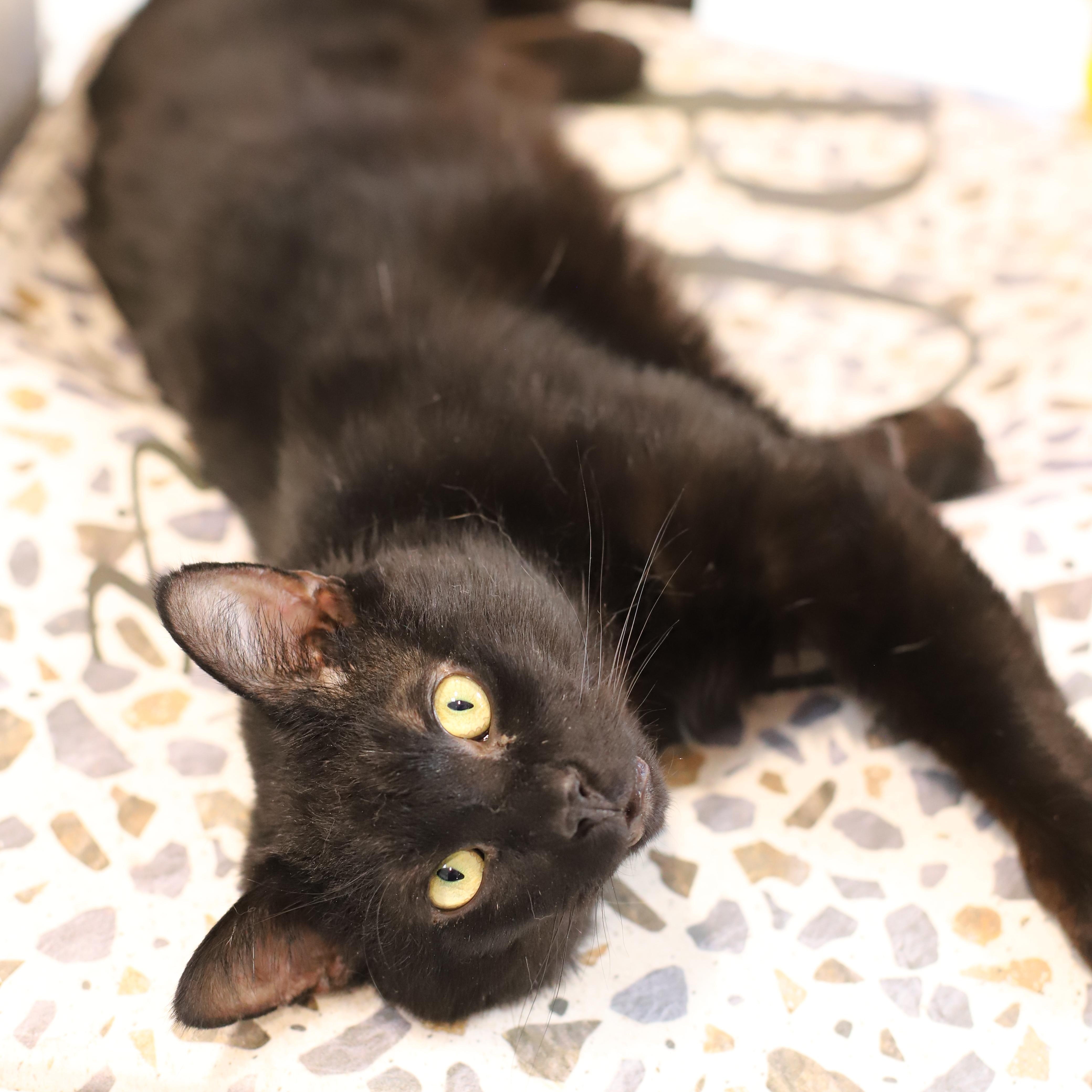 Catrick Swayze 2