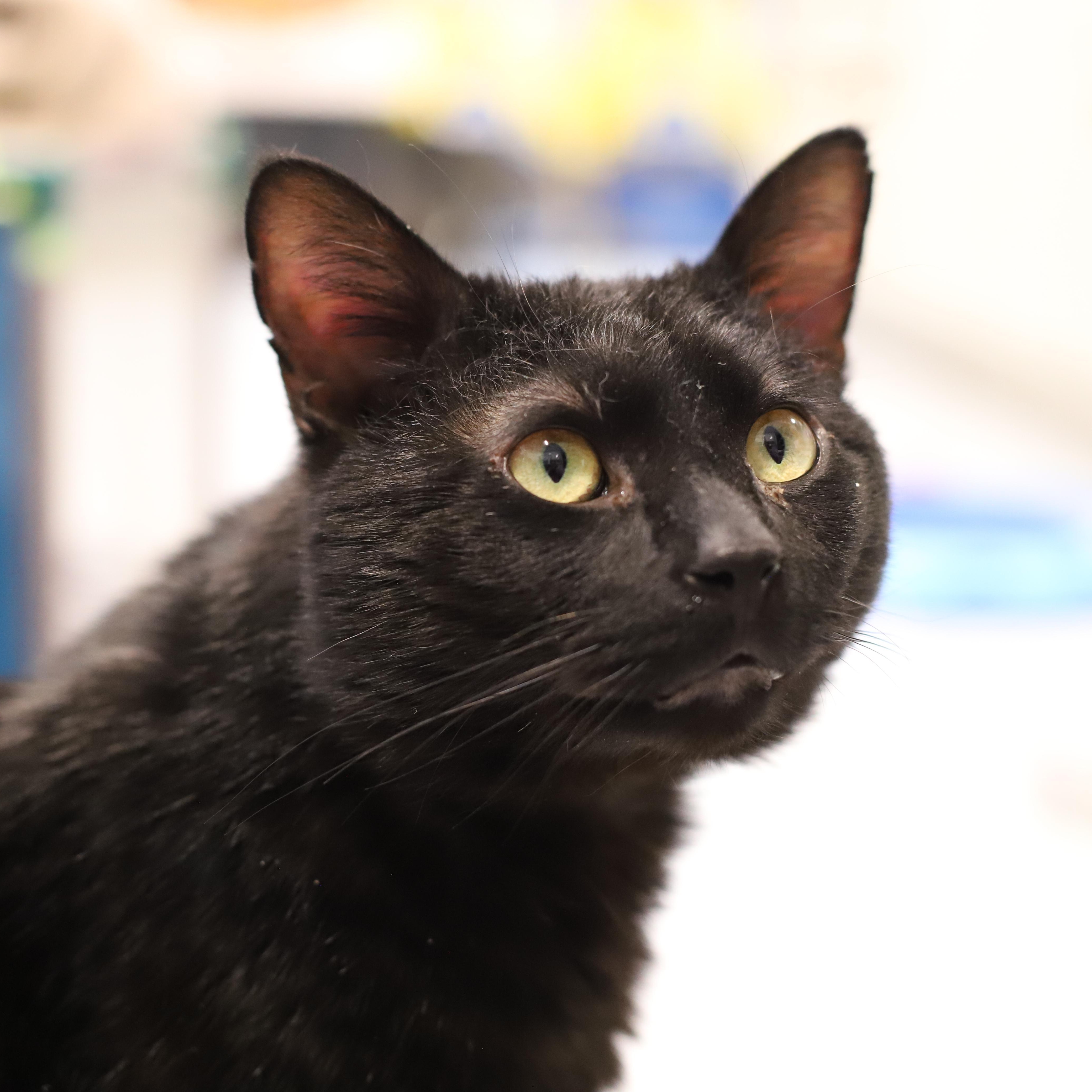 Catrick Swayze 4