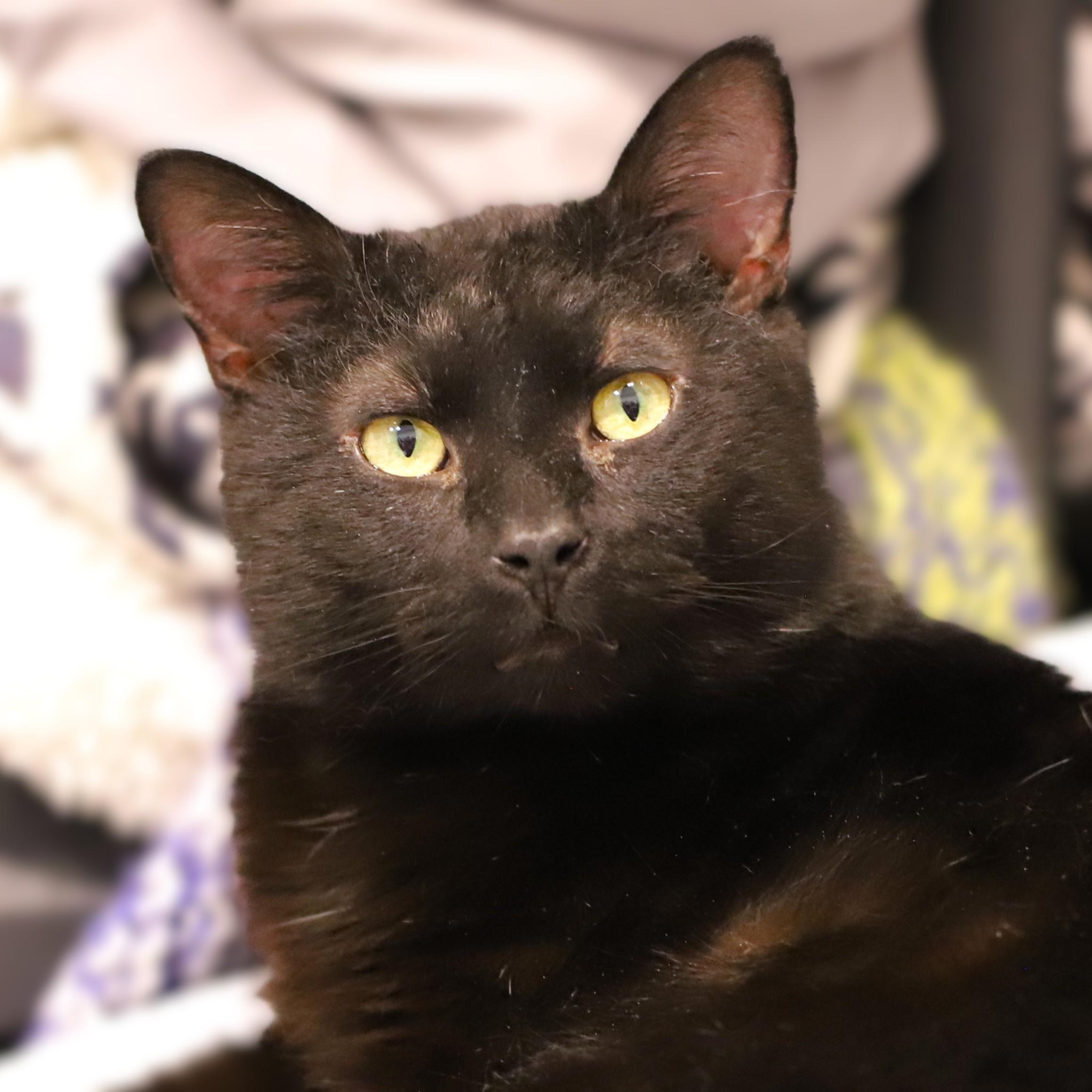 Catrick Swayze