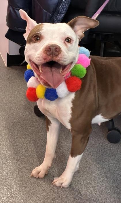 Elle B — thumbnail 2