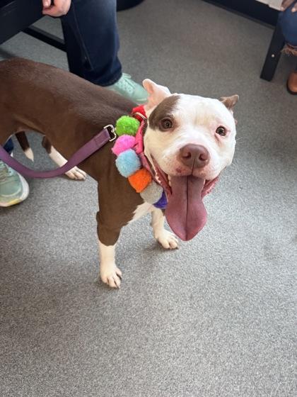 Elle B — thumbnail 3