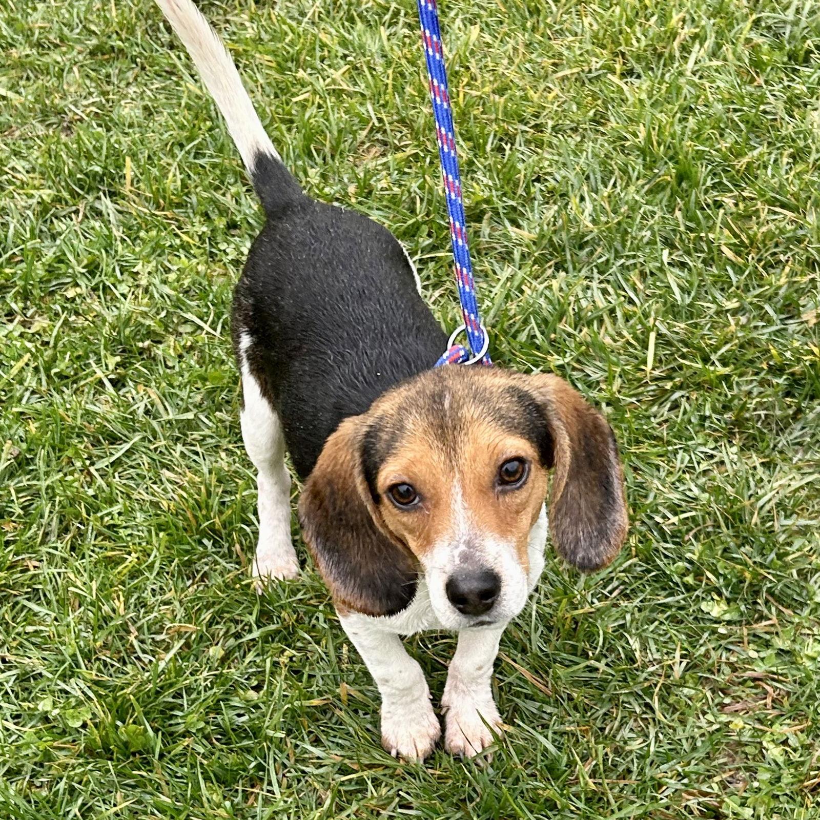 Mike  Monsters Inc thumbnail 4