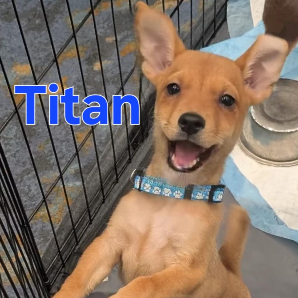Titan