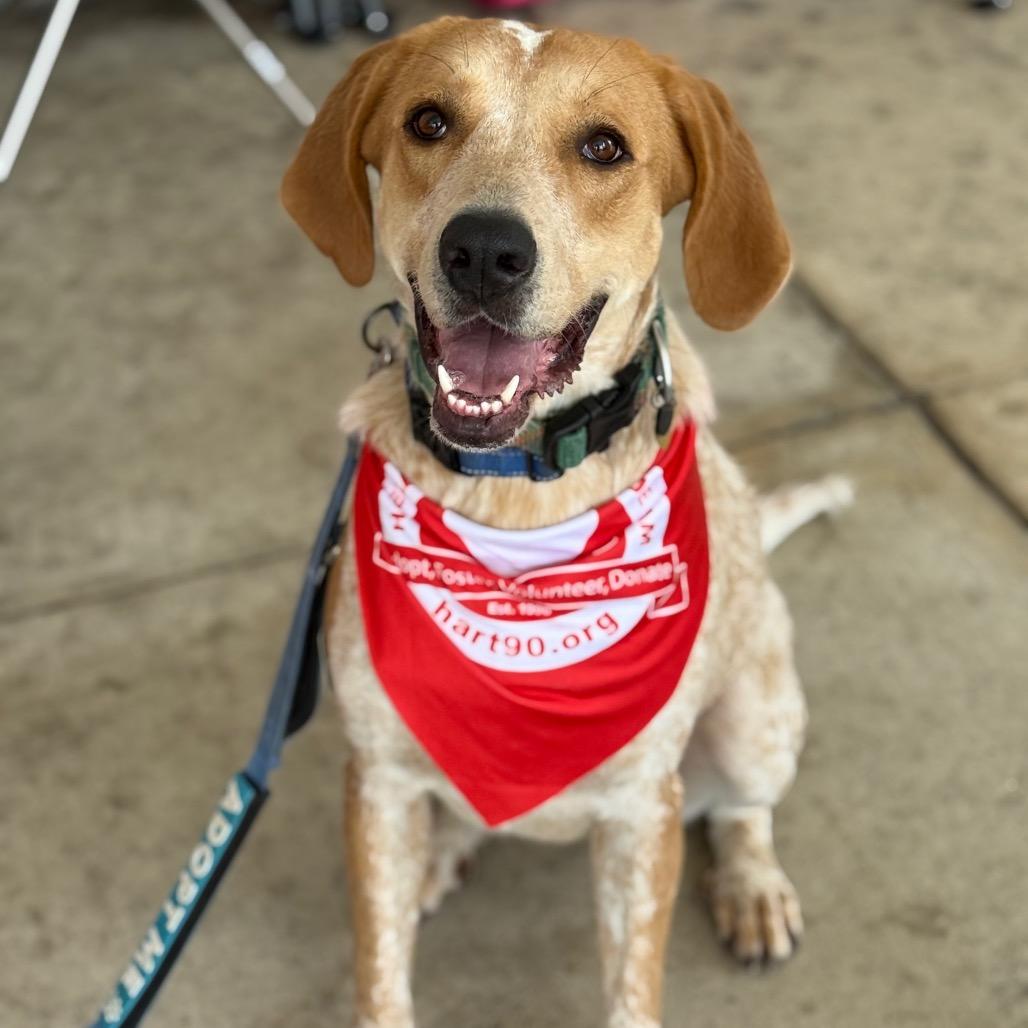 Buttercup G — thumbnail 5