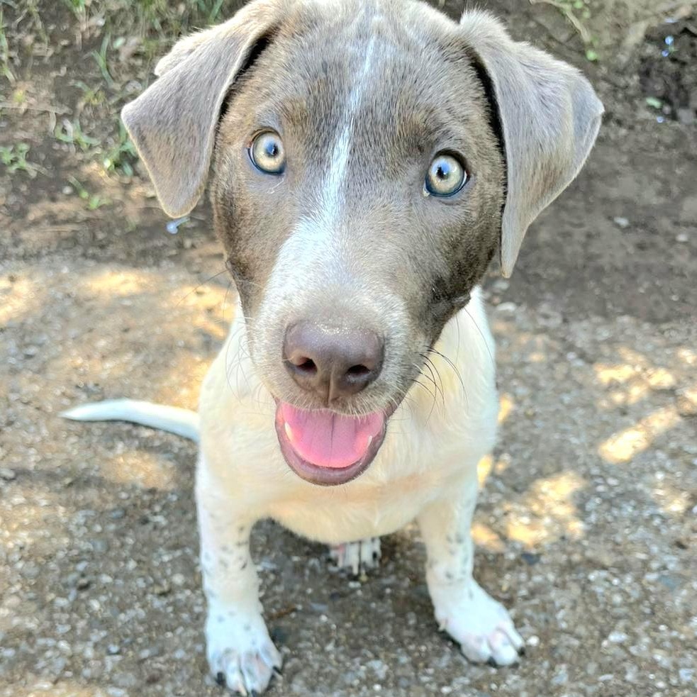 Bennett "mr. Happy Eyes!"