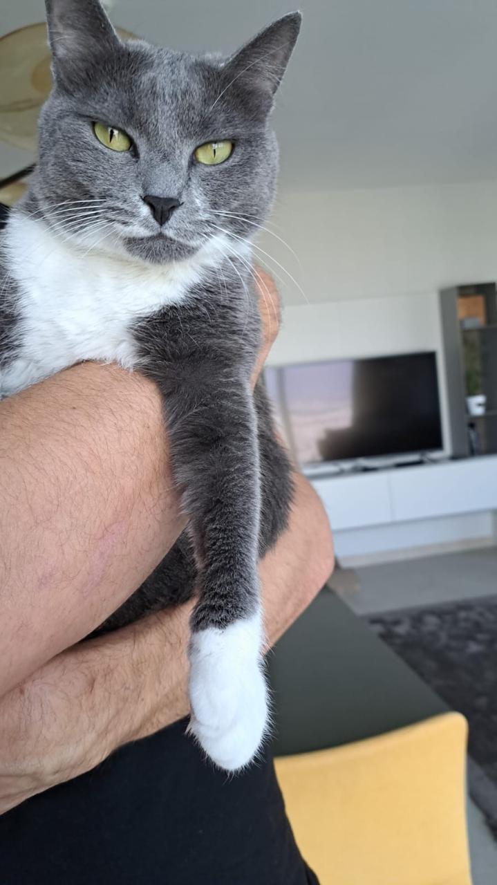 Ezzie, the Kind Resilient Queen photo 5