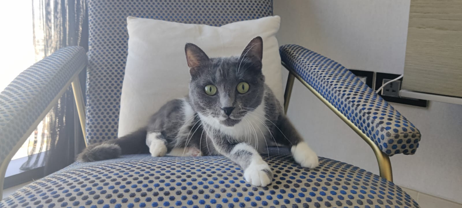 Ezzie, the Kind Resilient Queen photo 4