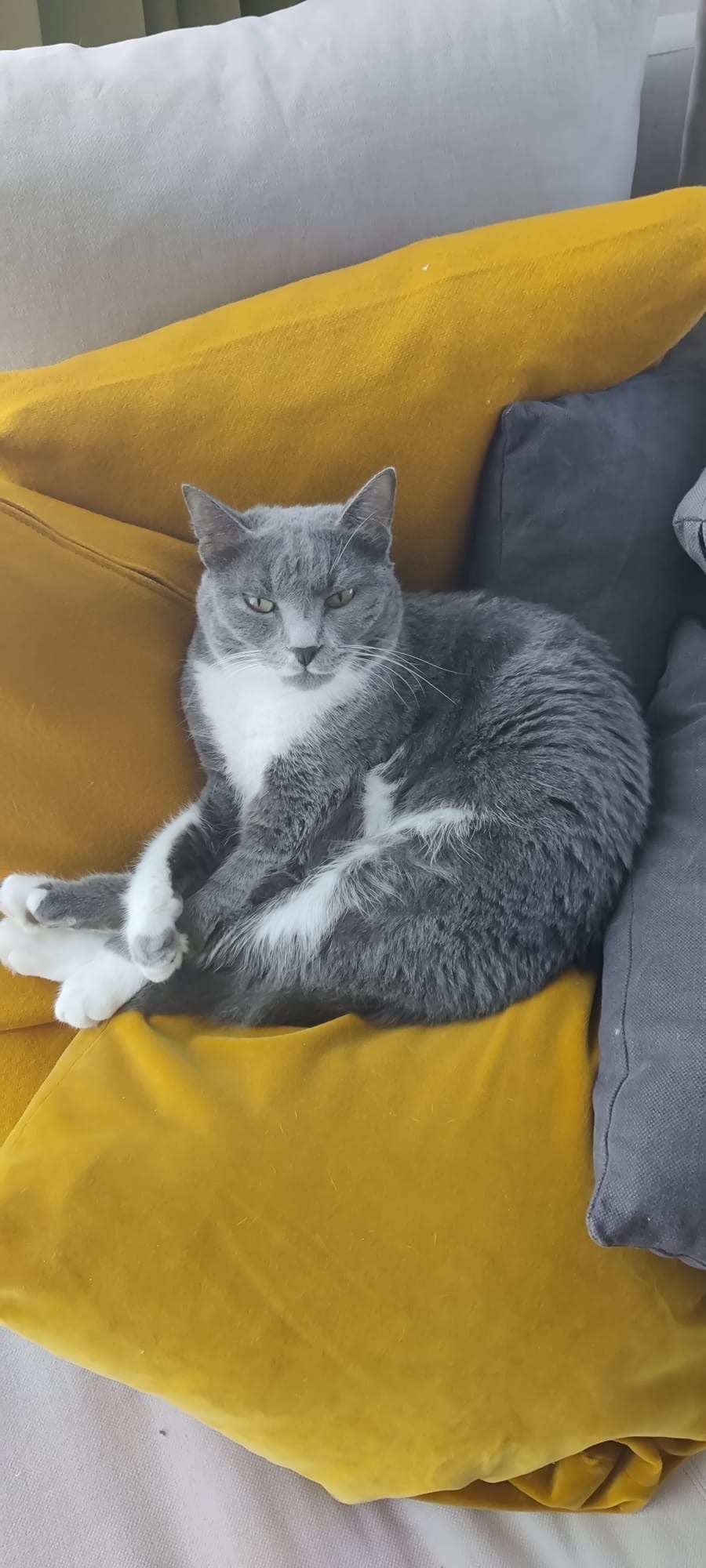 Ezzie, the Kind Resilient Queen photo 3
