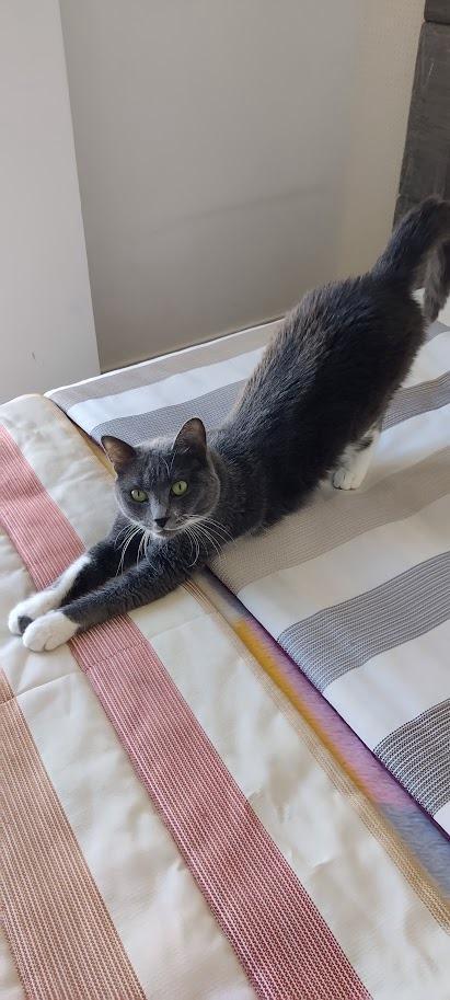 Ezzie, the Kind Resilient Queen