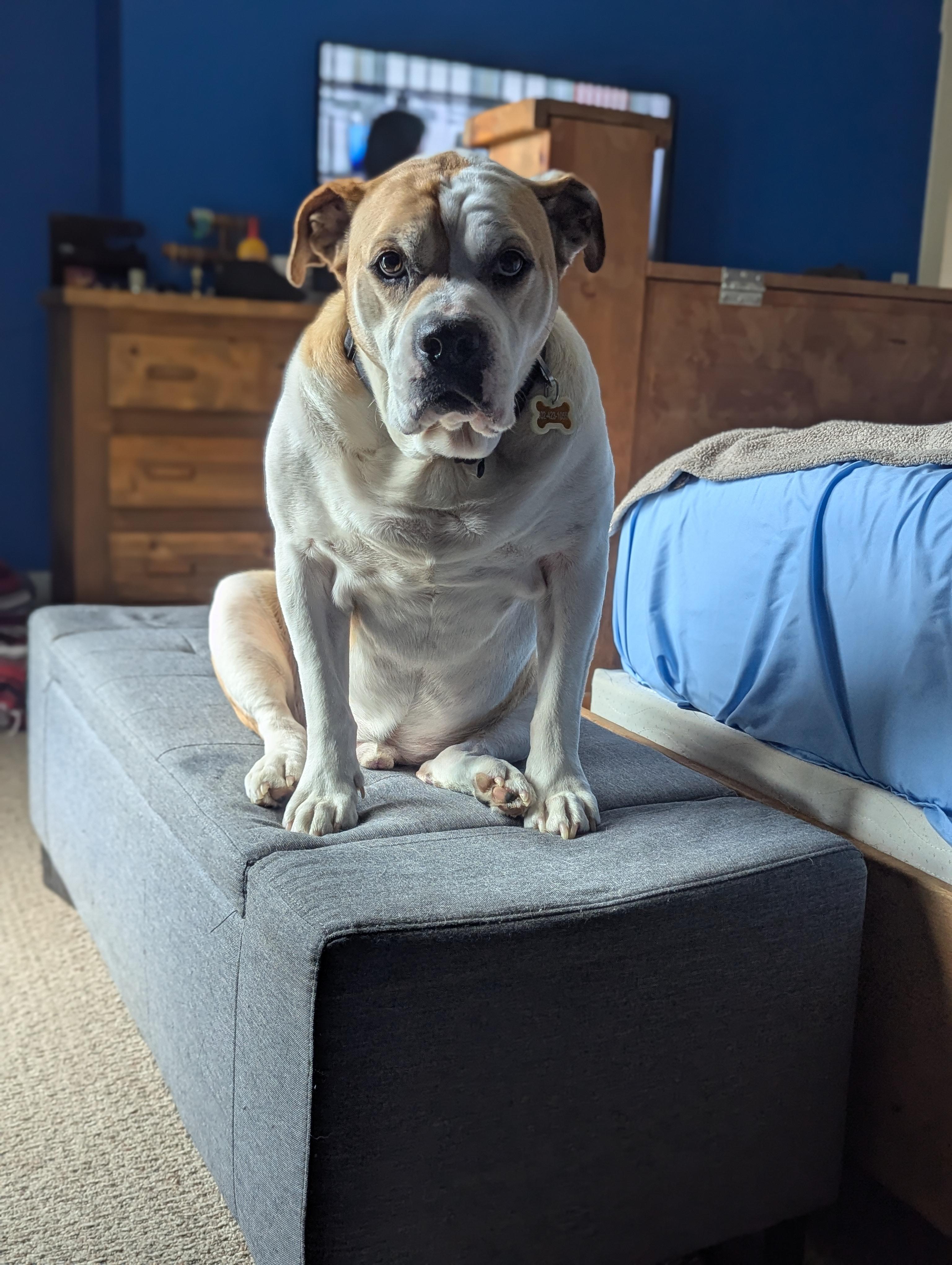 Clyde