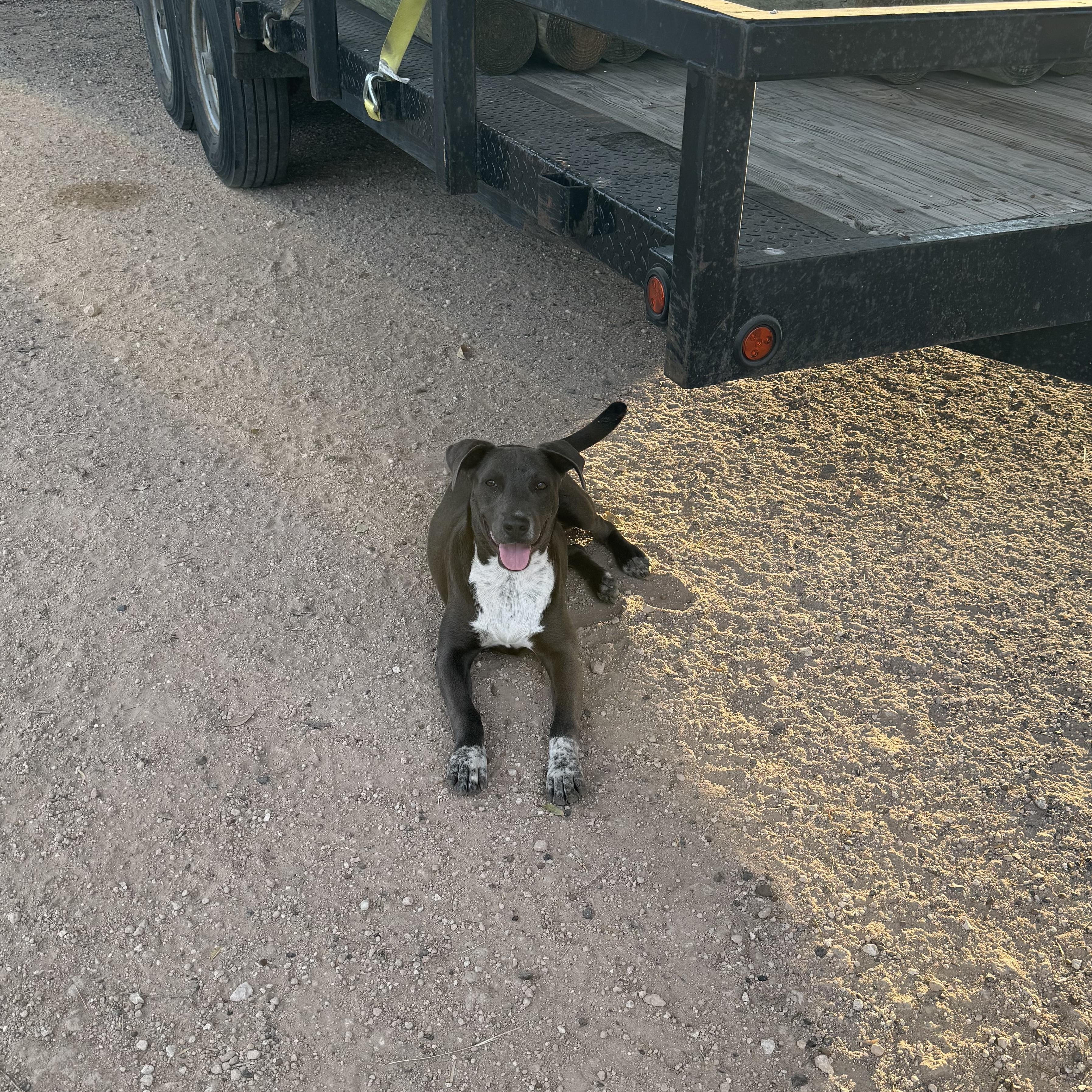 CHANCE — thumbnail 2