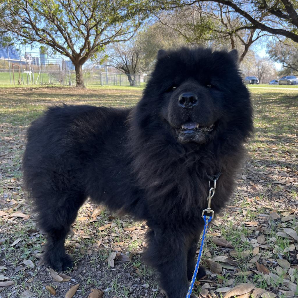 Smoochi Roo thumbnail 2