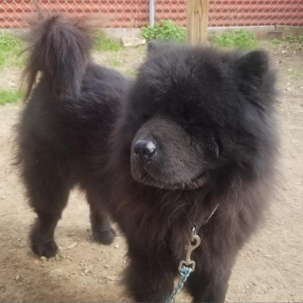 Smoochi Roo thumbnail 3