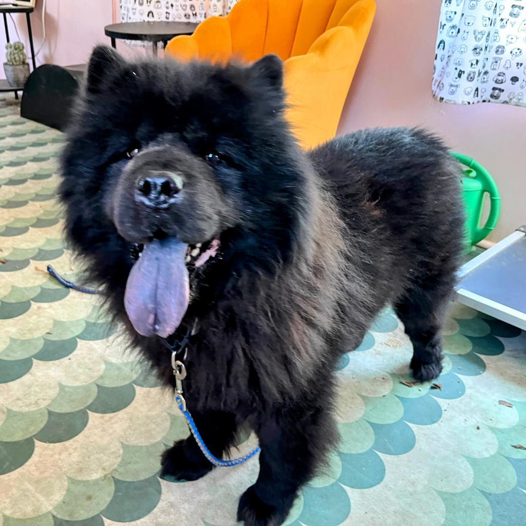 Smoochi Roo thumbnail 4