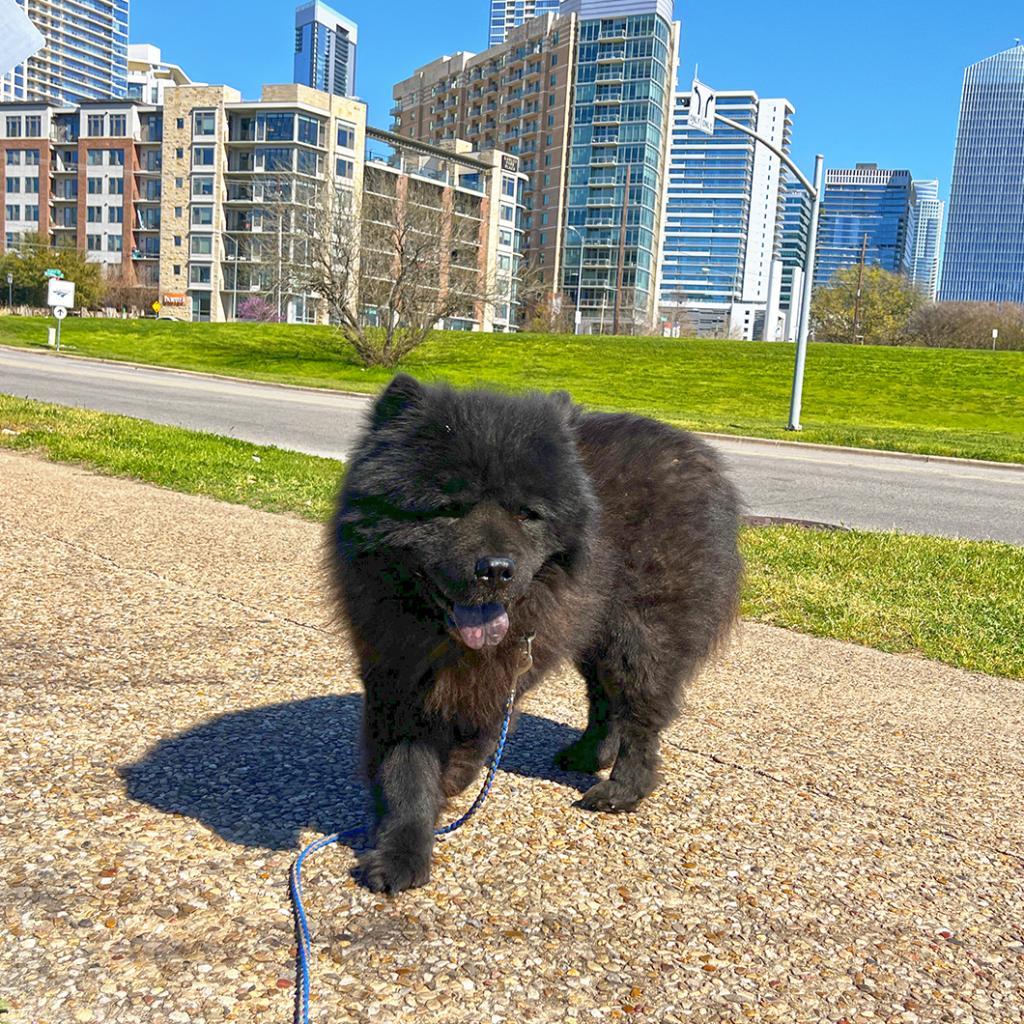 Smoochi Roo thumbnail 5