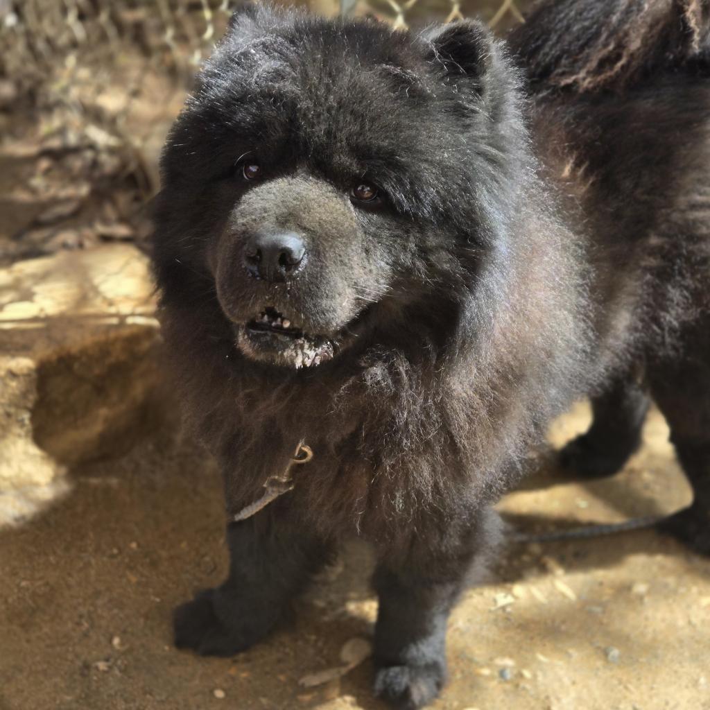 Smoochi Roo thumbnail 6