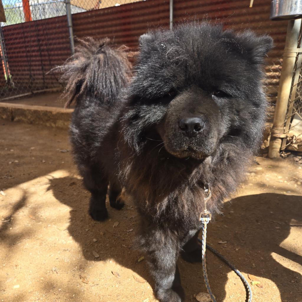 Smoochi Roo thumbnail 7