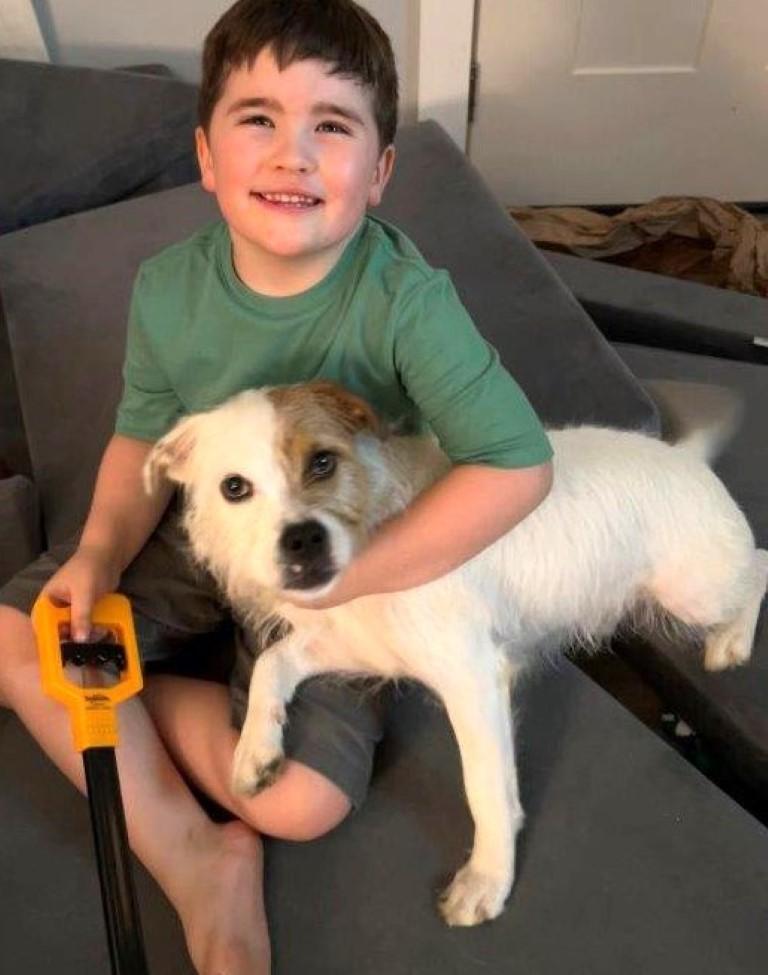 Enlarge Ziggy, a ADOPTABLE mixed breed in White Plains, NY image 4/5