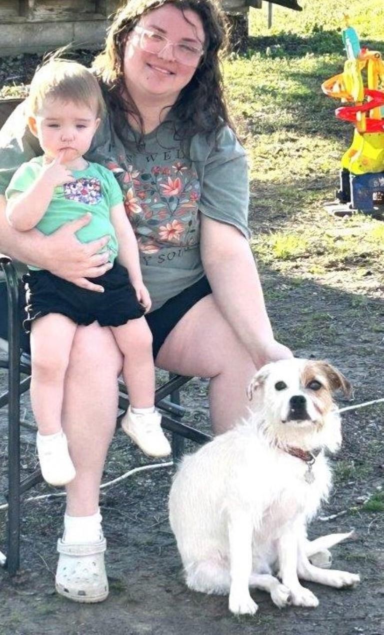 Enlarge Ziggy, a ADOPTABLE mixed breed in White Plains, NY image 3/5