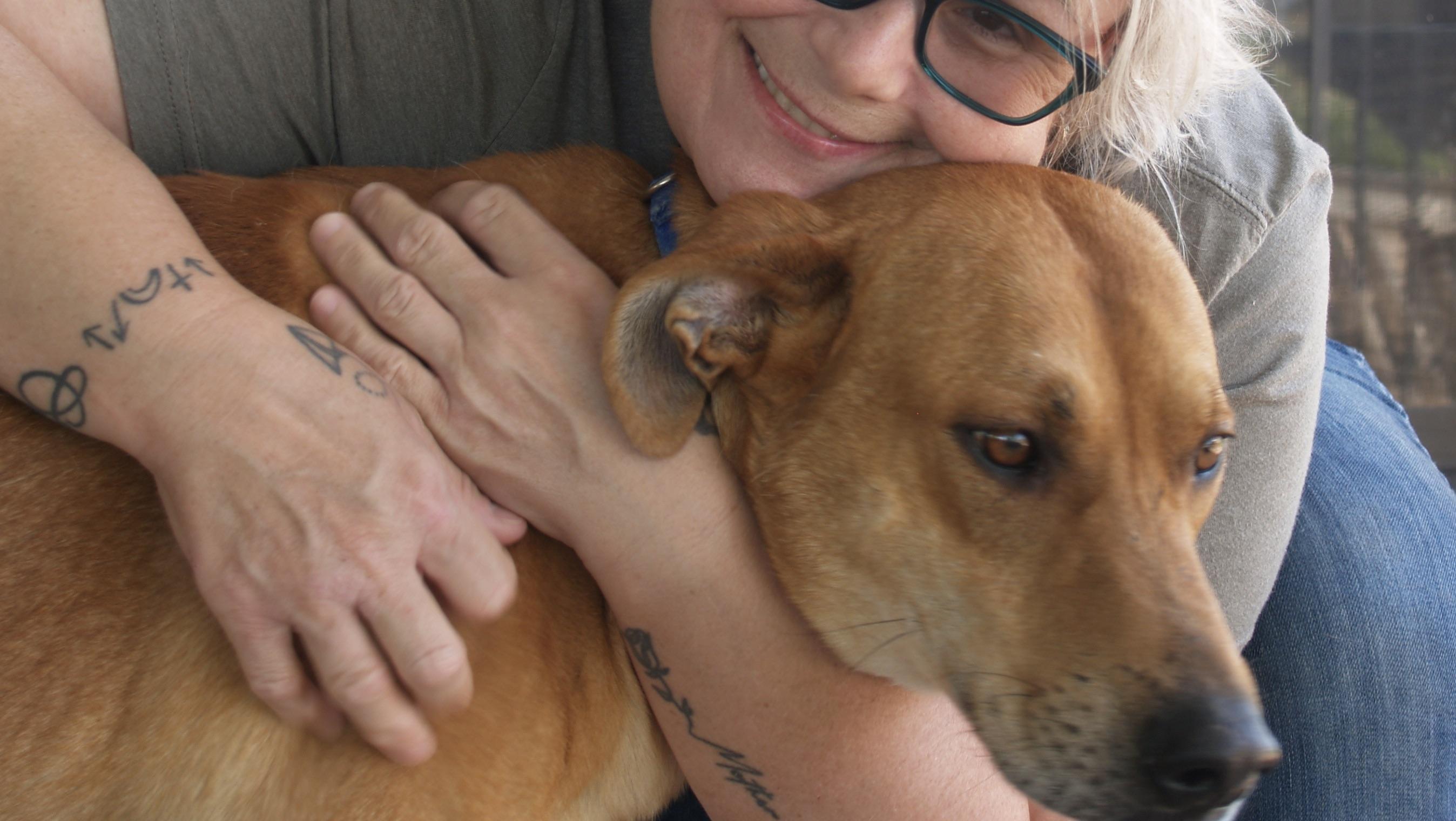 Daddy, an adopted Mixed Breed in Falls Church, VA image 3/6