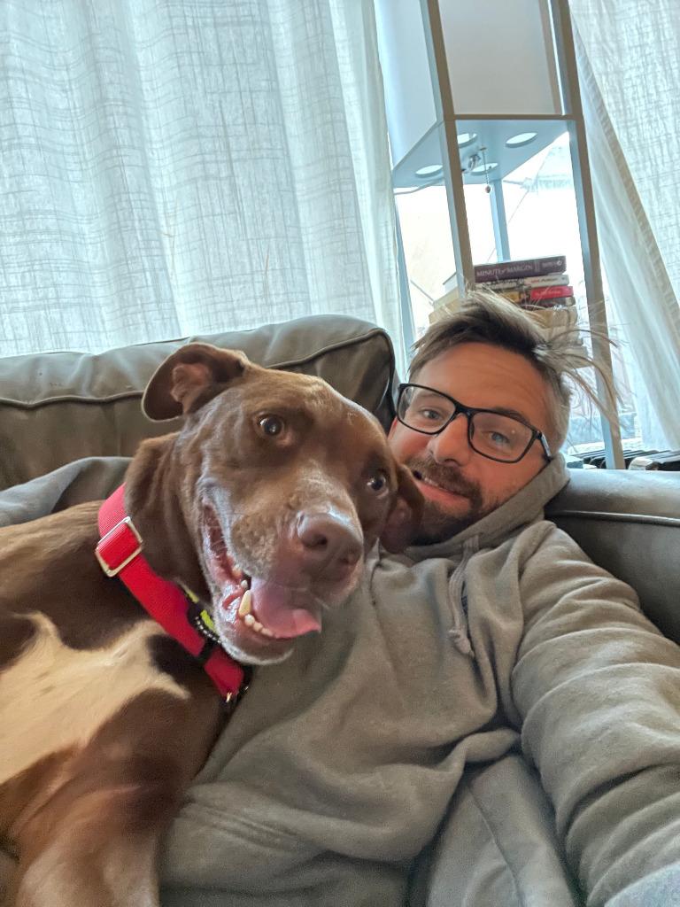 Enlarge Lucy Ann - Adopt Me!, a Adoptable mixed breed in Lake Forest, CA image 4/6