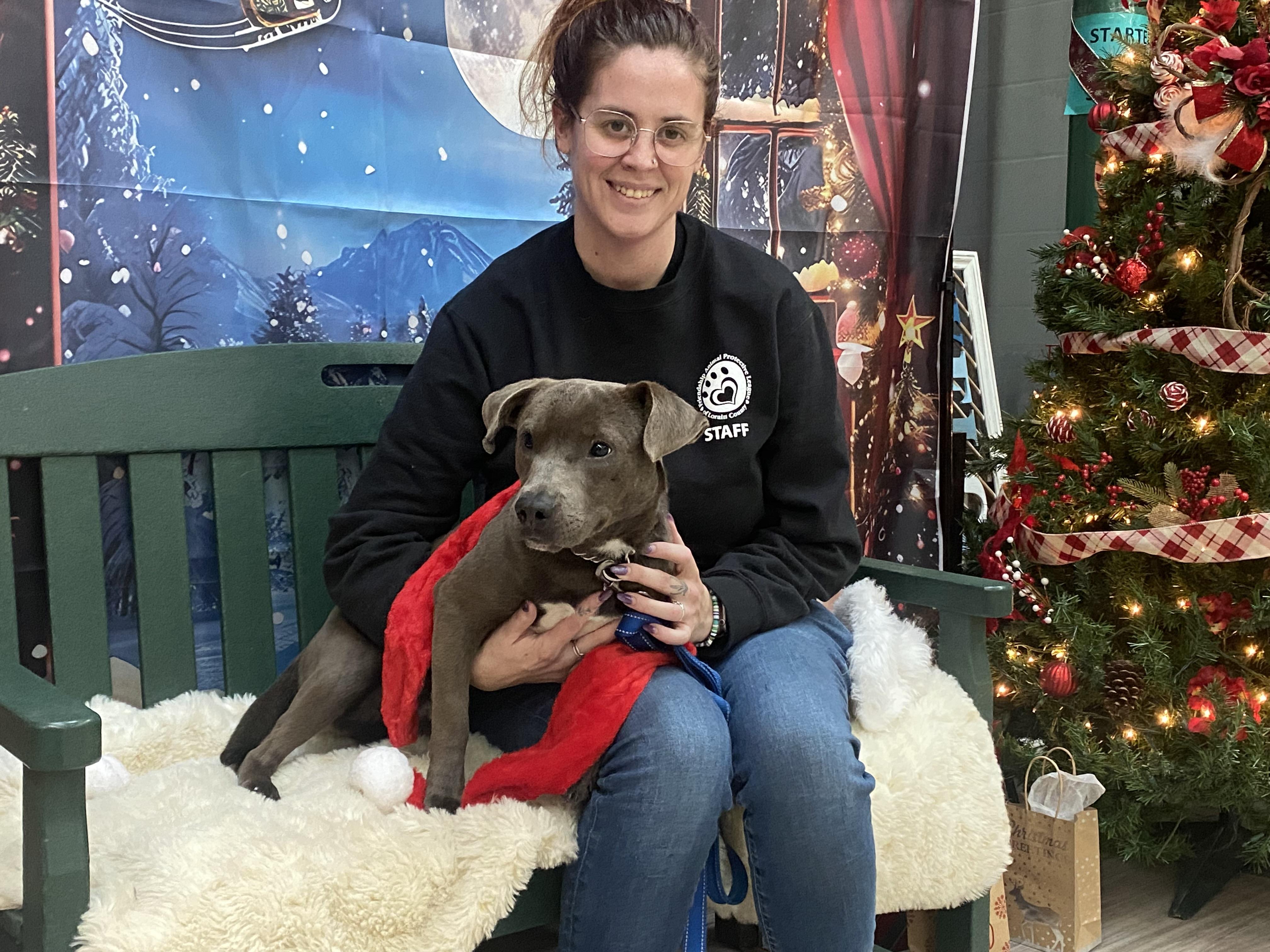 Enlarge Solar, an adopted Mixed Breed in Elyria, OH image 1/4